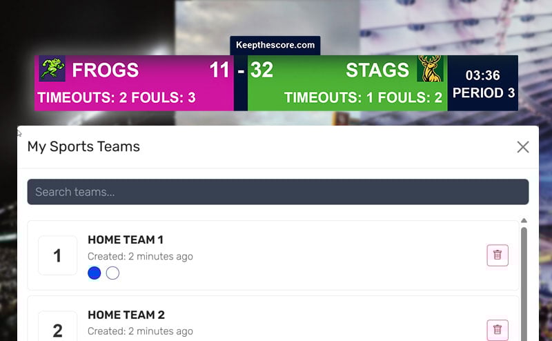 Team setup panel showing Save Team button and all customization options
